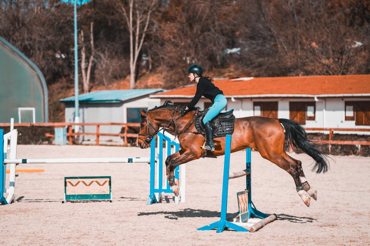 Equestrian